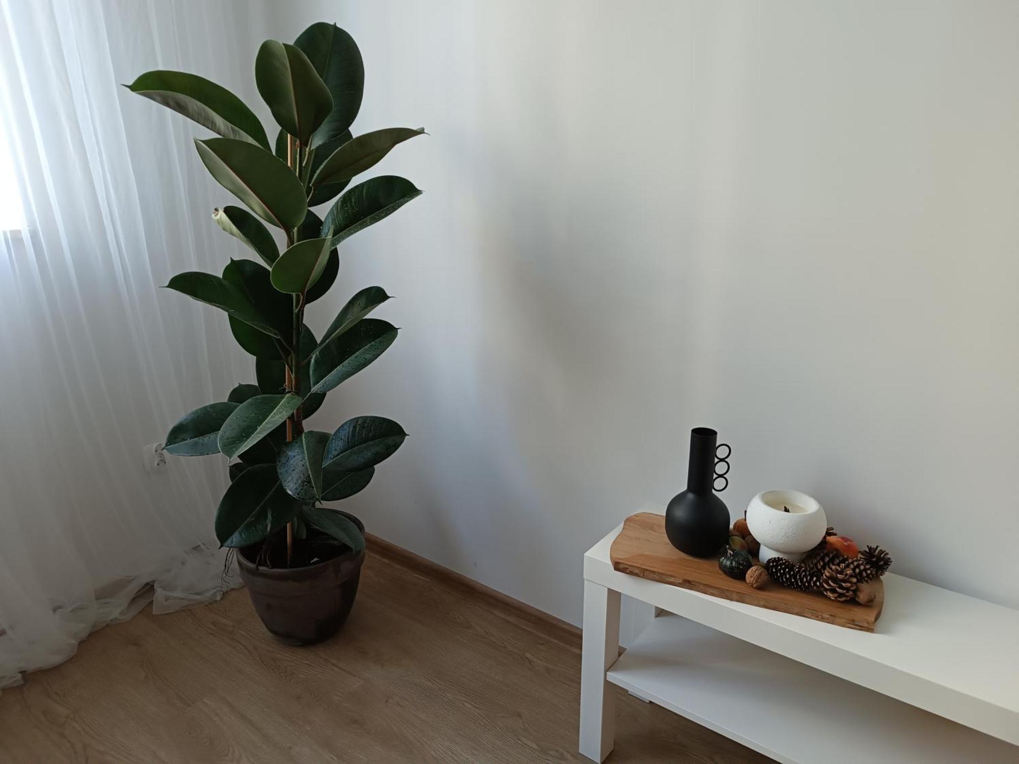Minimalistic *